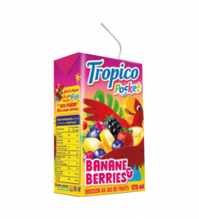 TROPICO POCKET 6 X 125ML