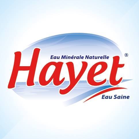 HAYET  12 X 0.33L