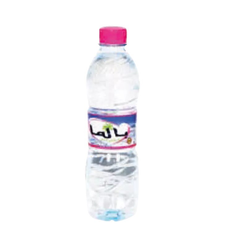 PALMA 12 X 0.5L